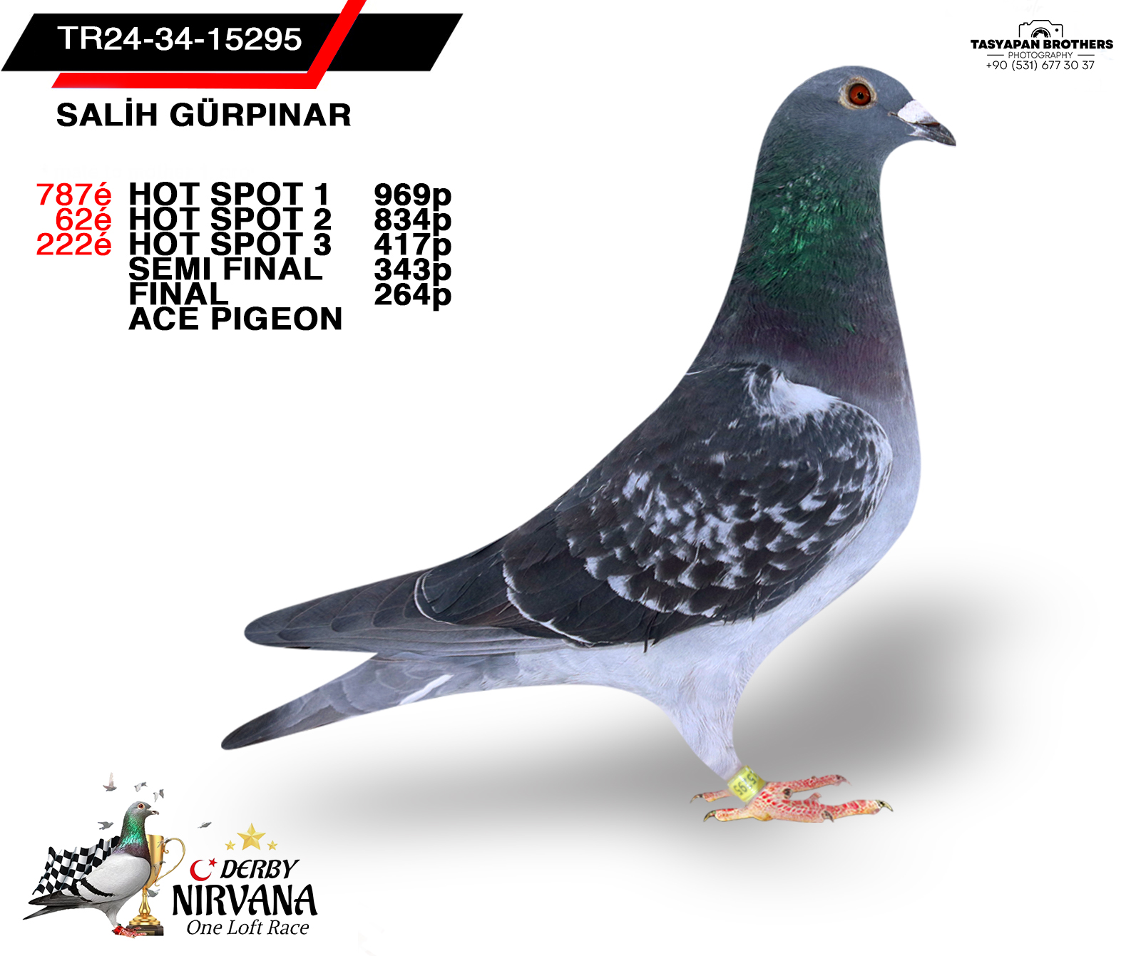 TR 24-34-15295 SALİH GÜRPINAR