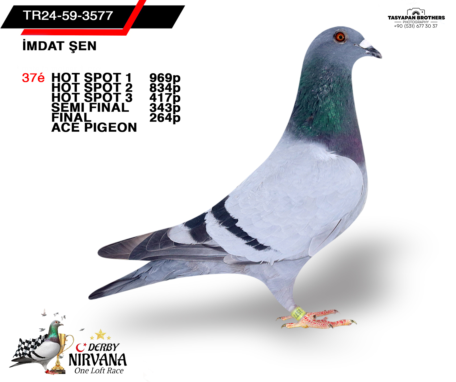 TR 24-59-3577 İMDAT ŞEN